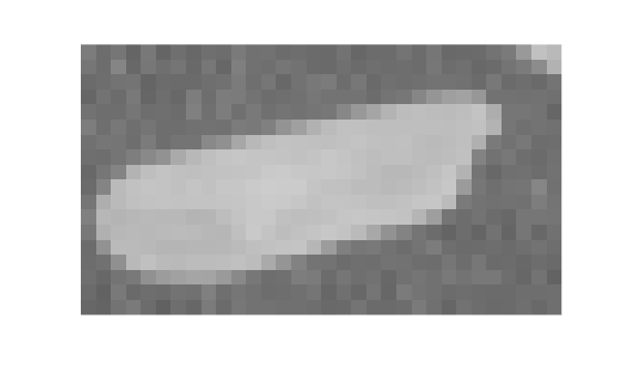 Figure contains an axes object. The hidden axes object contains an object of type image.