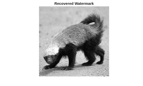 Figure contains an axes object. The hidden axes object with title Recovered Watermark contains an object of type image.