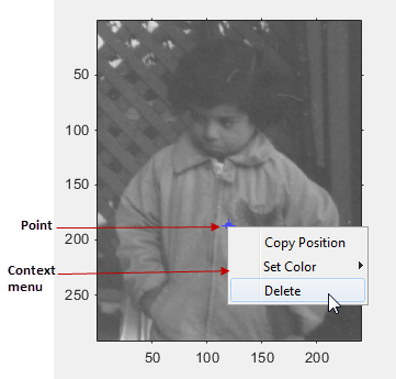 Blue point displayed over an image, with a context menu that gives options to copy the position, set the color, or delete the point.
