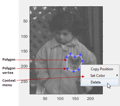 Blue polygon displayed over an image, with draggable vertices and a context menu that gives options to copy the position, set the color, or delete the polygon.