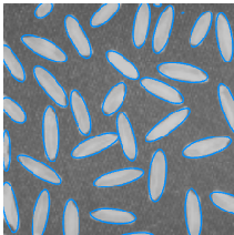 Blue ellipses overlaid on a grayscale image of rice grains