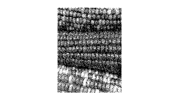 Figure contains an axes object. The hidden axes object contains an object of type image.
