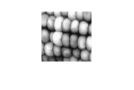 Figure contains an axes object. The hidden axes object contains an object of type image.