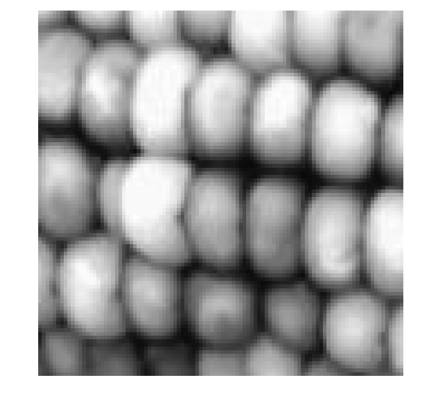 Figure contains an axes object. The hidden axes object contains an object of type image.