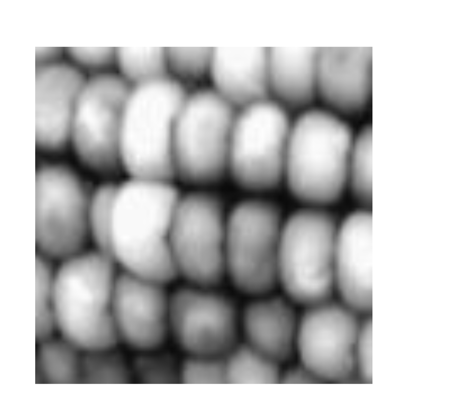 Figure contains an axes object. The hidden axes object contains an object of type image.