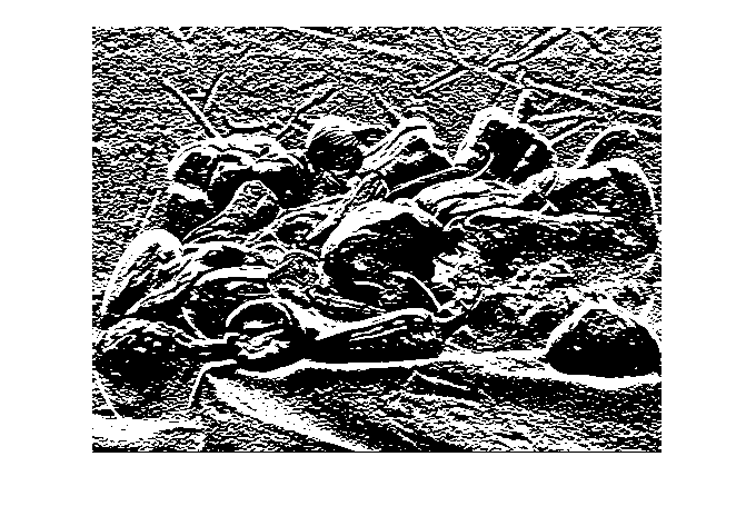 Figure contains an axes object. The hidden axes object contains an object of type image.