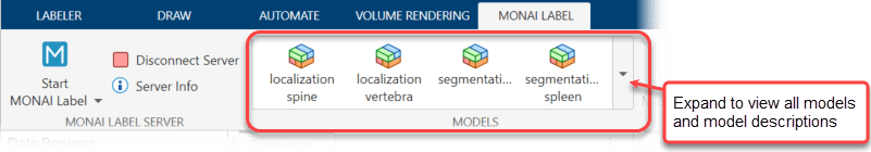 Medical Image Labeler app toolstrip, with a rectangle highlighting the Models gallery