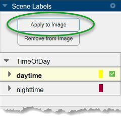 Scene Label pane with the daytime sublabel selected and checked and the Apply to Image circled.