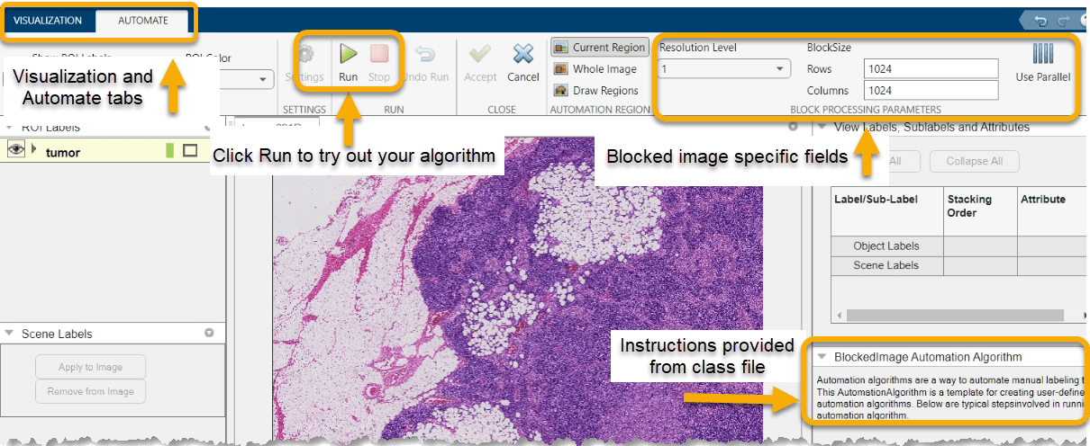 The Image Labeler Automate tab.