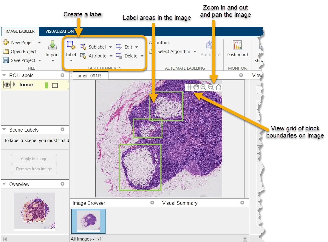 How to label a blocked image in the Image Labeler.