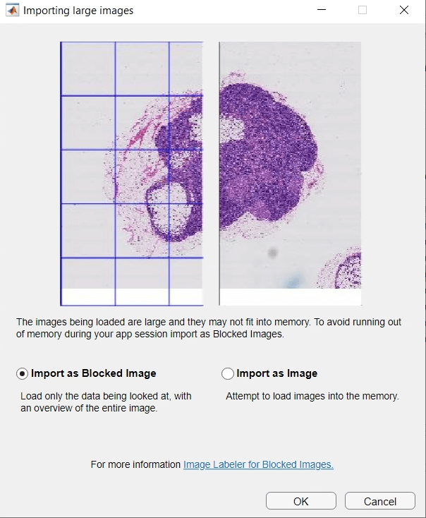 The Importing Large Images dialog box in the Image Labeler.